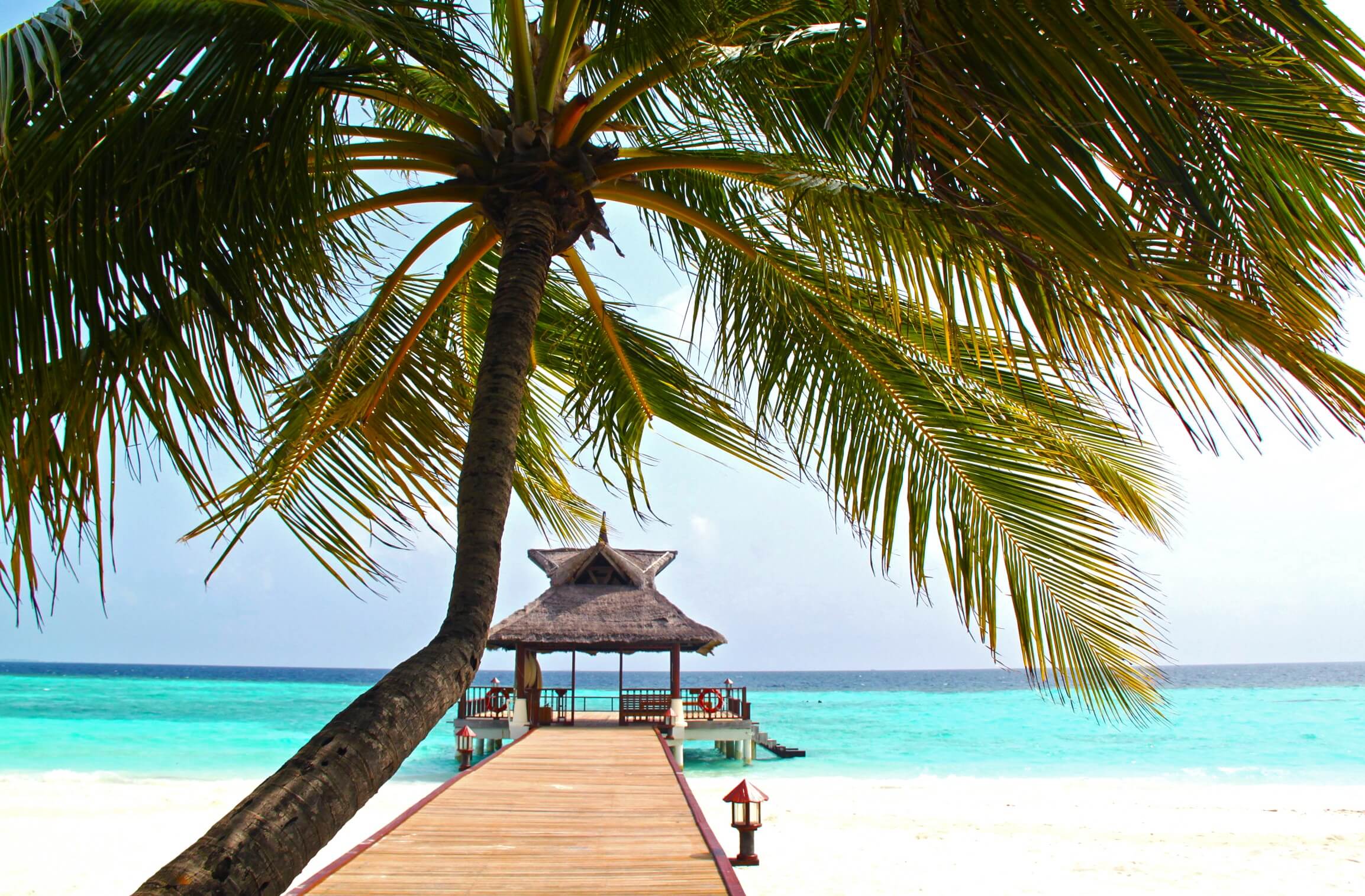 Reif für die Insel? all you need is OM Reif für die Insel? all you need is OM